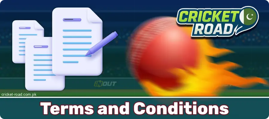 Cricket Road Pakistan gameplay rules